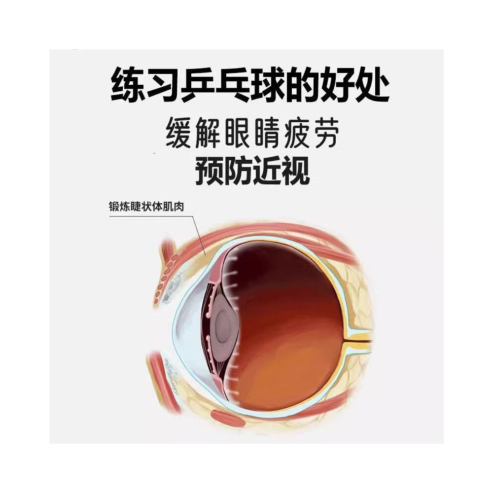 Table Tennis Trainer Tumbler Fixed Children s Home Indoor and Outdoor Double Fighting Single Fighting Elasticity Exercise Device image 4