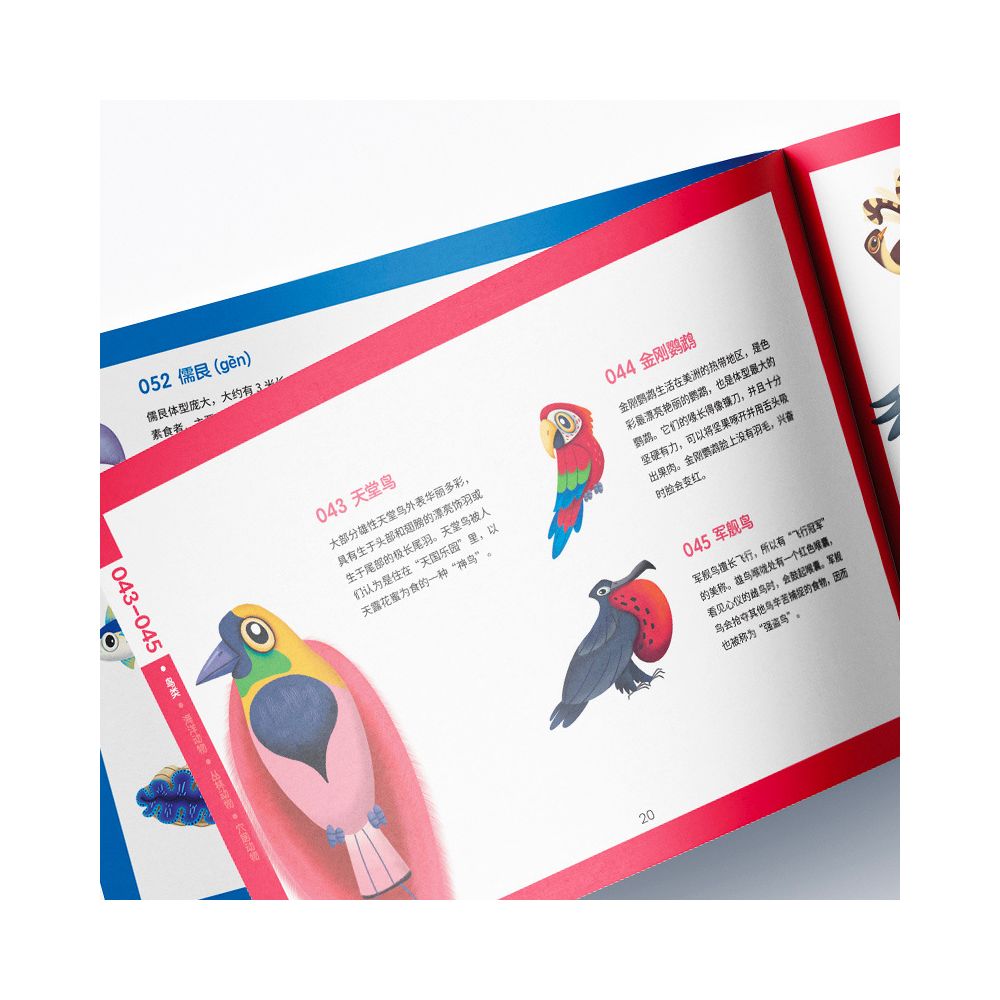 TOI Flashlight Search Game Children s Tabletop Game Toy Parent Child Early Education Interaction Ages 3 8 image 2