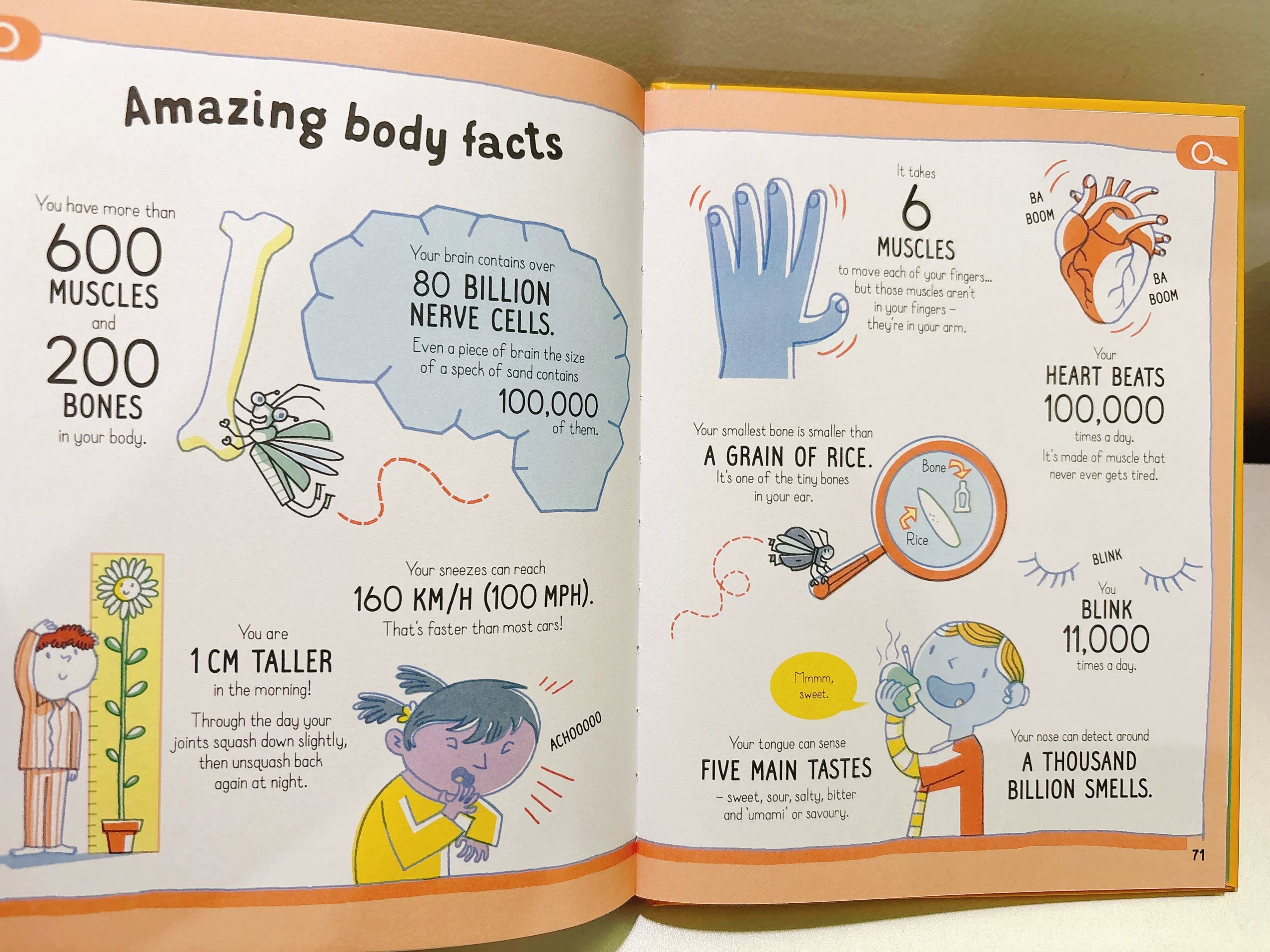 All You Need to Know about Your Body by Age 7 Children Educational English Picture Reading Book