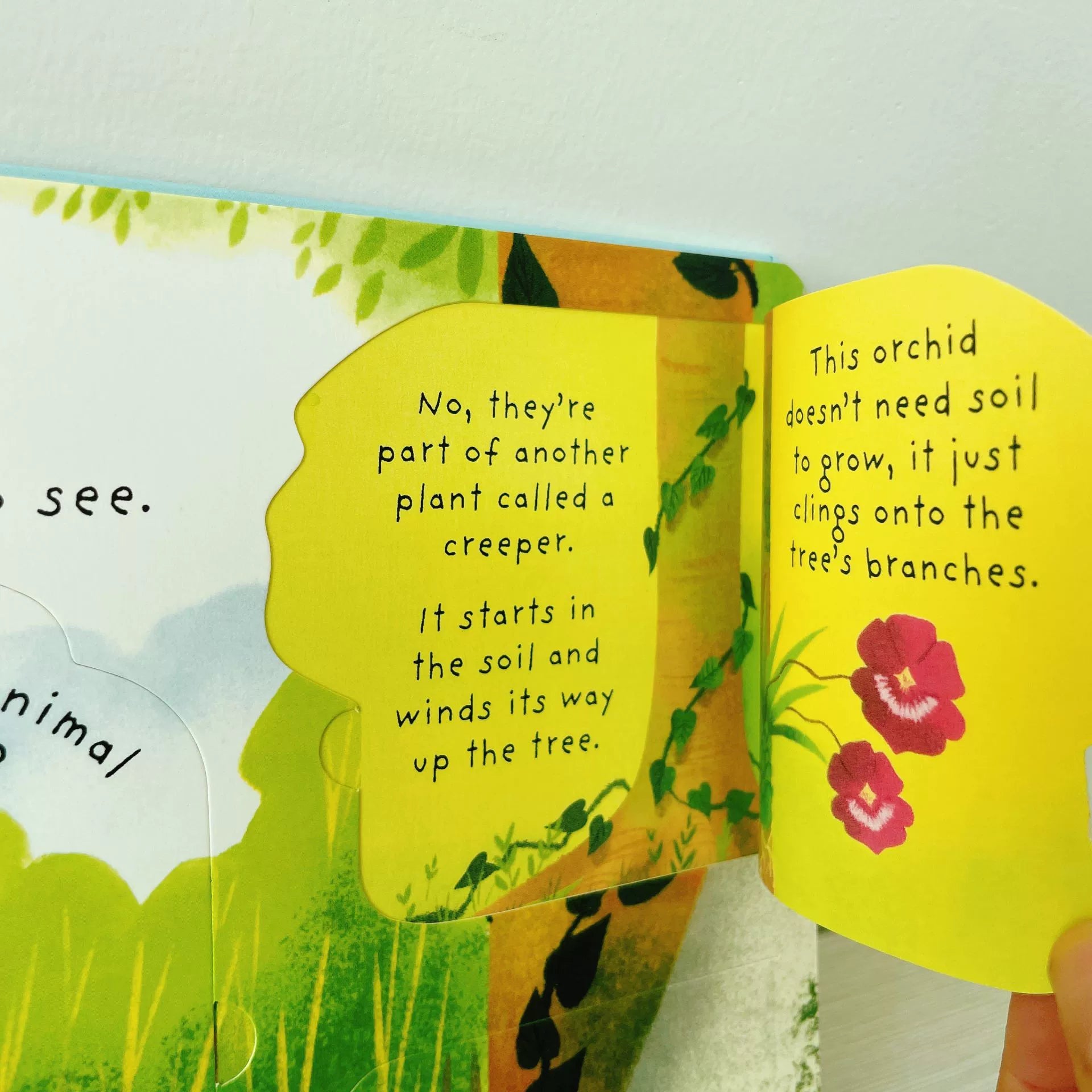 First Questions and Answers Why do we need trees? Usborne Lift the flap Children's Activity English Board Book