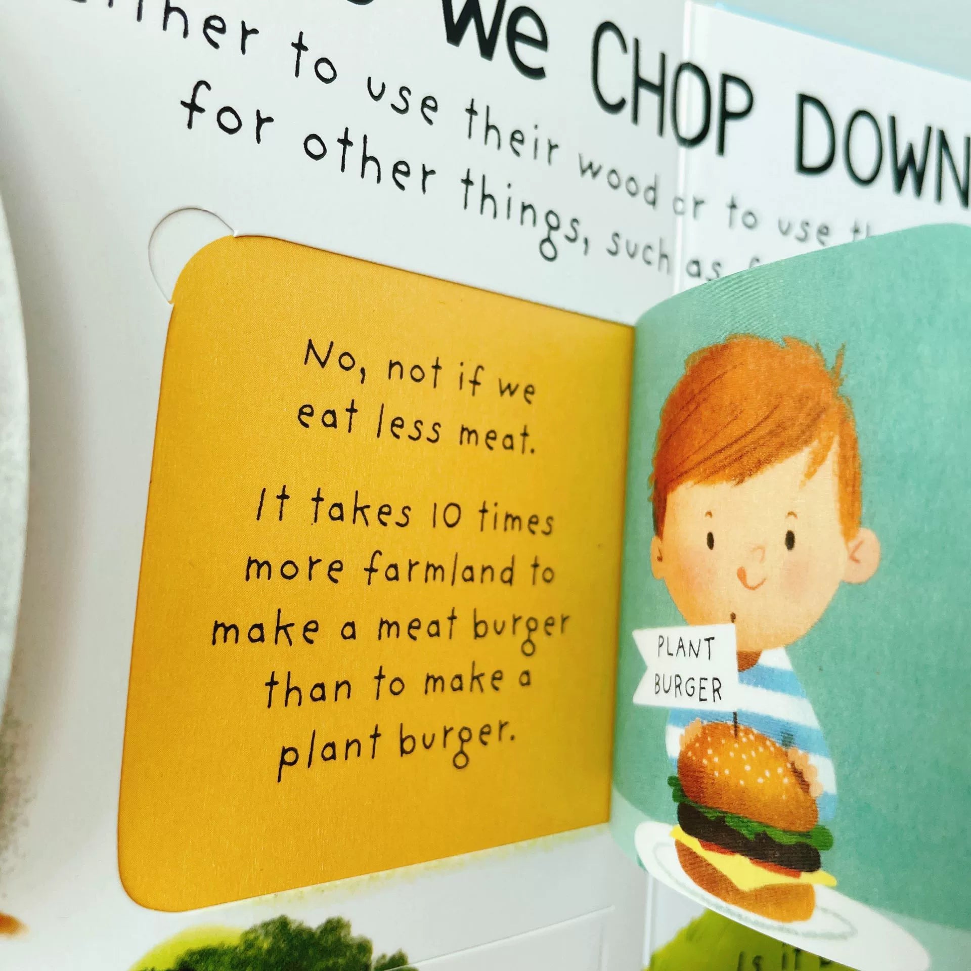 First Questions and Answers Why do we need trees? Usborne Lift the flap Children's Activity English Board Book