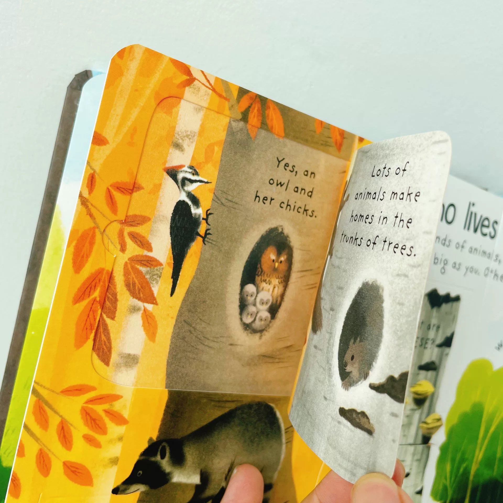 First Questions and Answers Why do we need trees? Usborne Lift the flap Children's Activity English Board Book