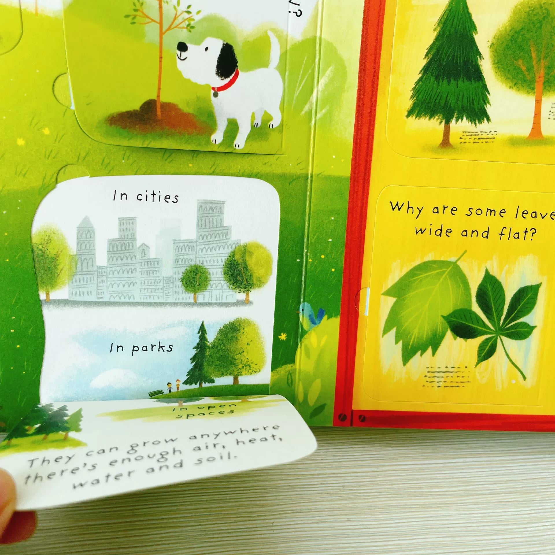 First Questions and Answers Why do we need trees? Usborne Lift the flap Children's Activity English Board Book