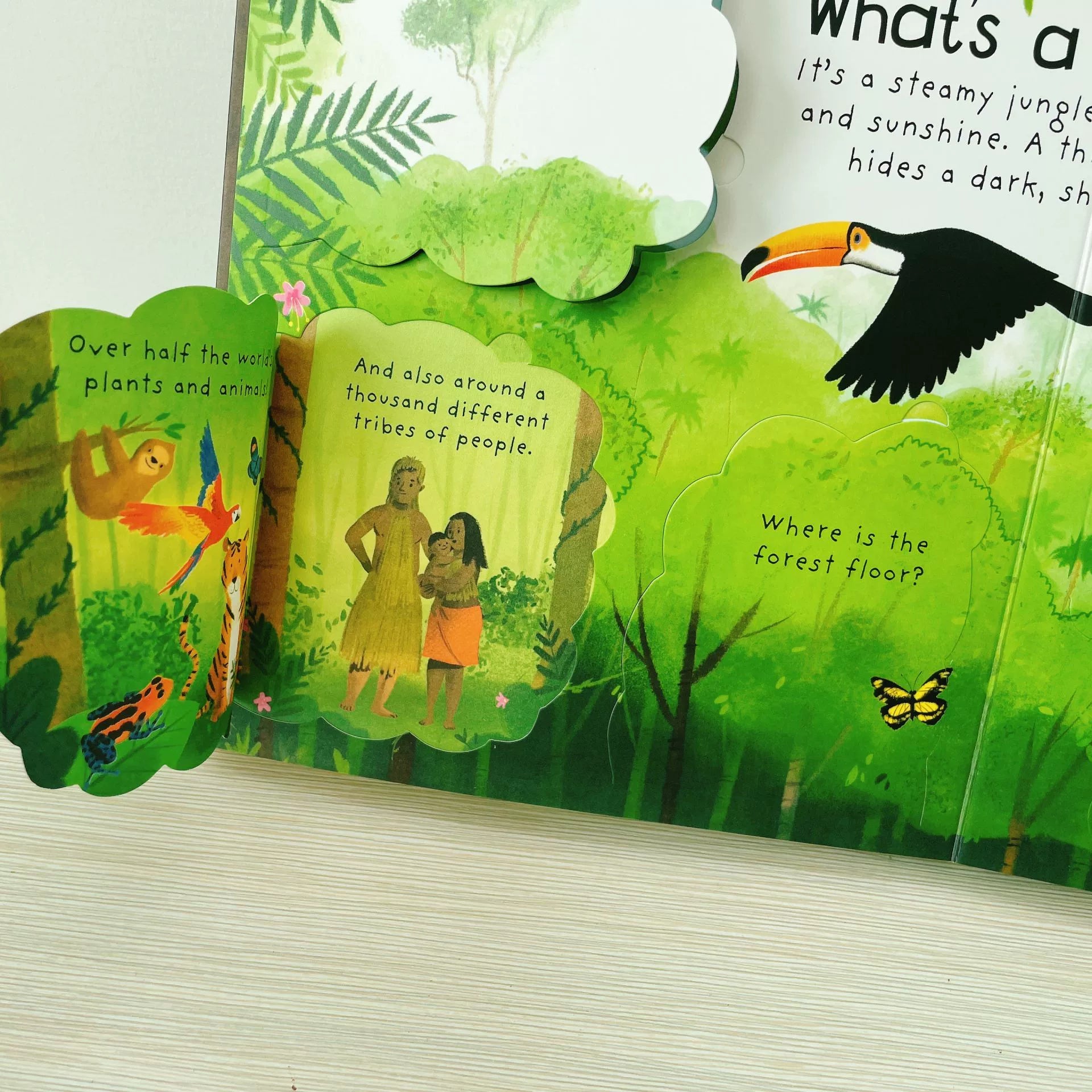 First Questions and Answers Why do we need trees? Usborne Lift the flap Children's Activity English Board Book