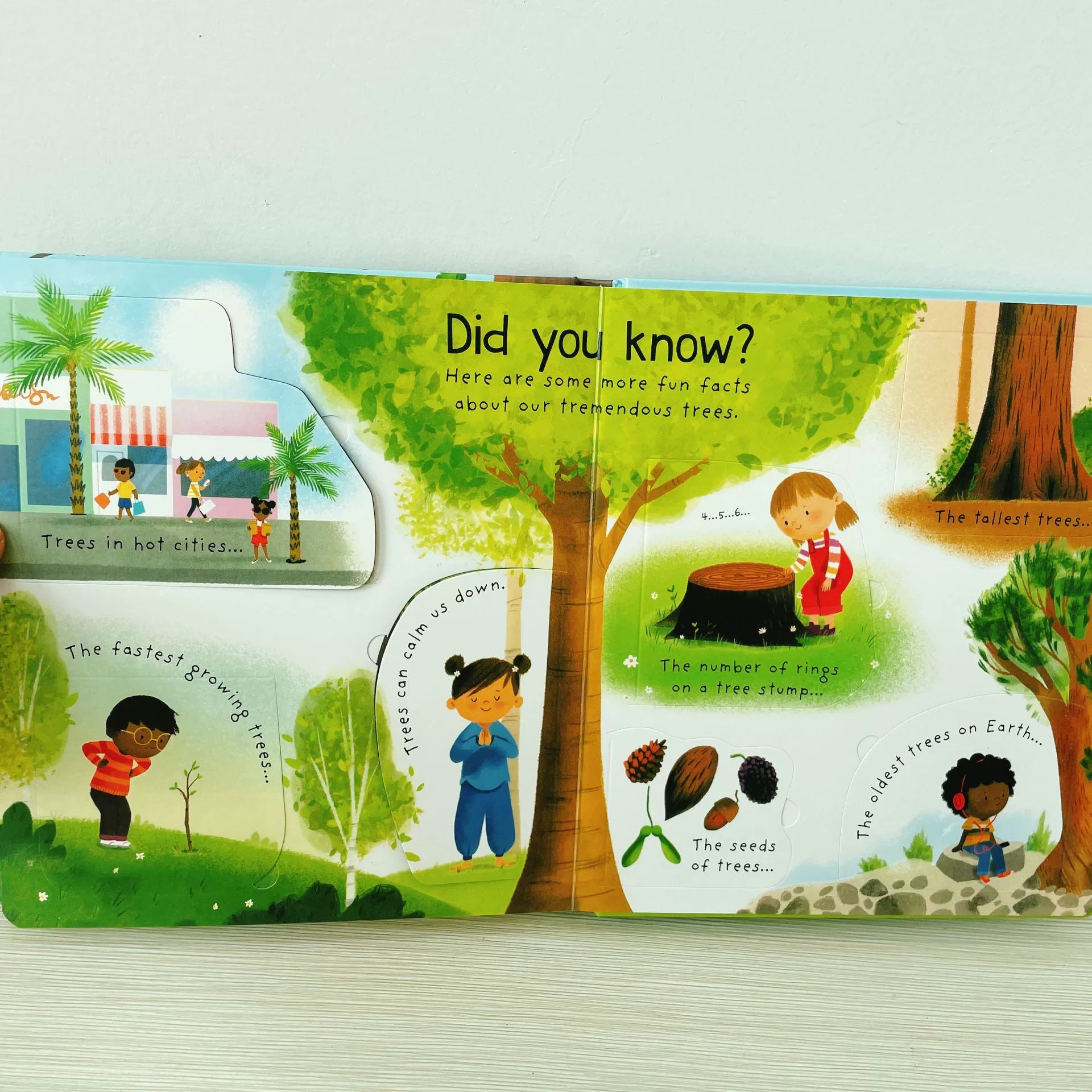 First Questions and Answers Why do we need trees? Usborne Lift the flap Children's Activity English Board Book