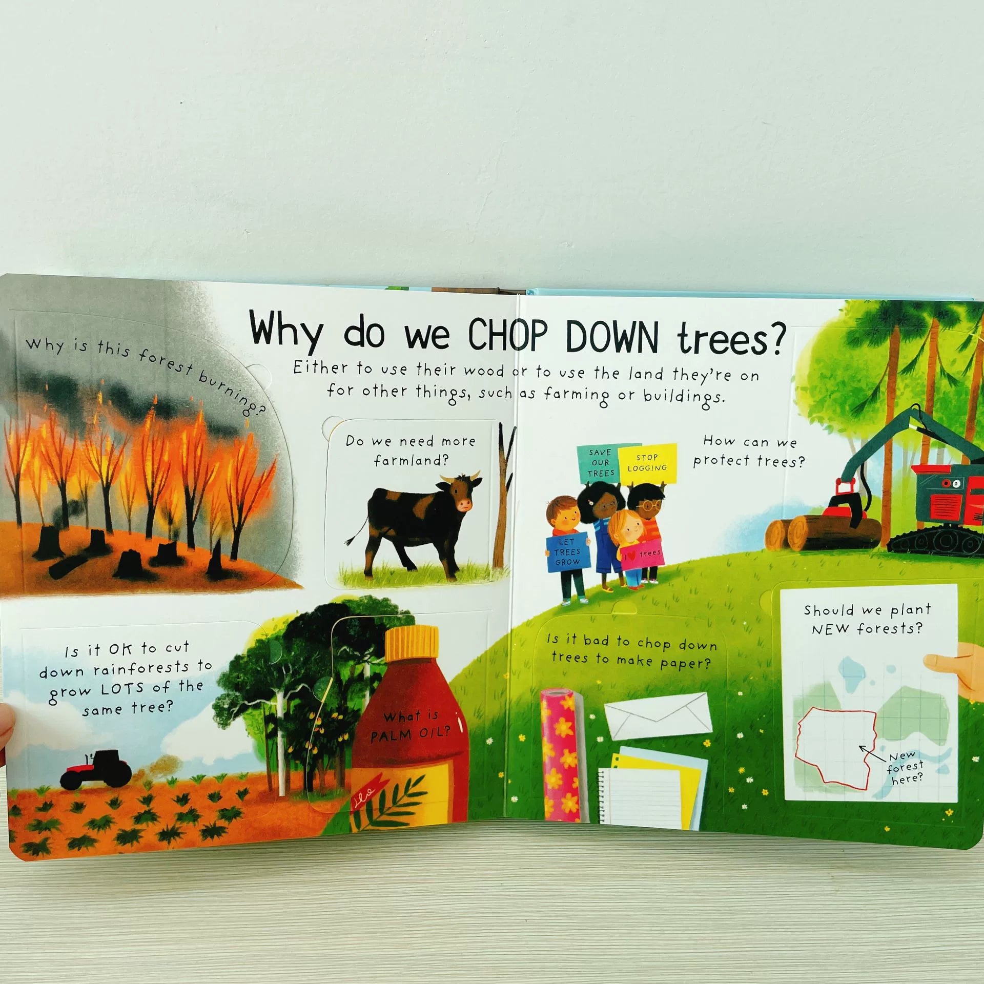 First Questions and Answers Why do we need trees? Usborne Lift the flap Children's Activity English Board Book