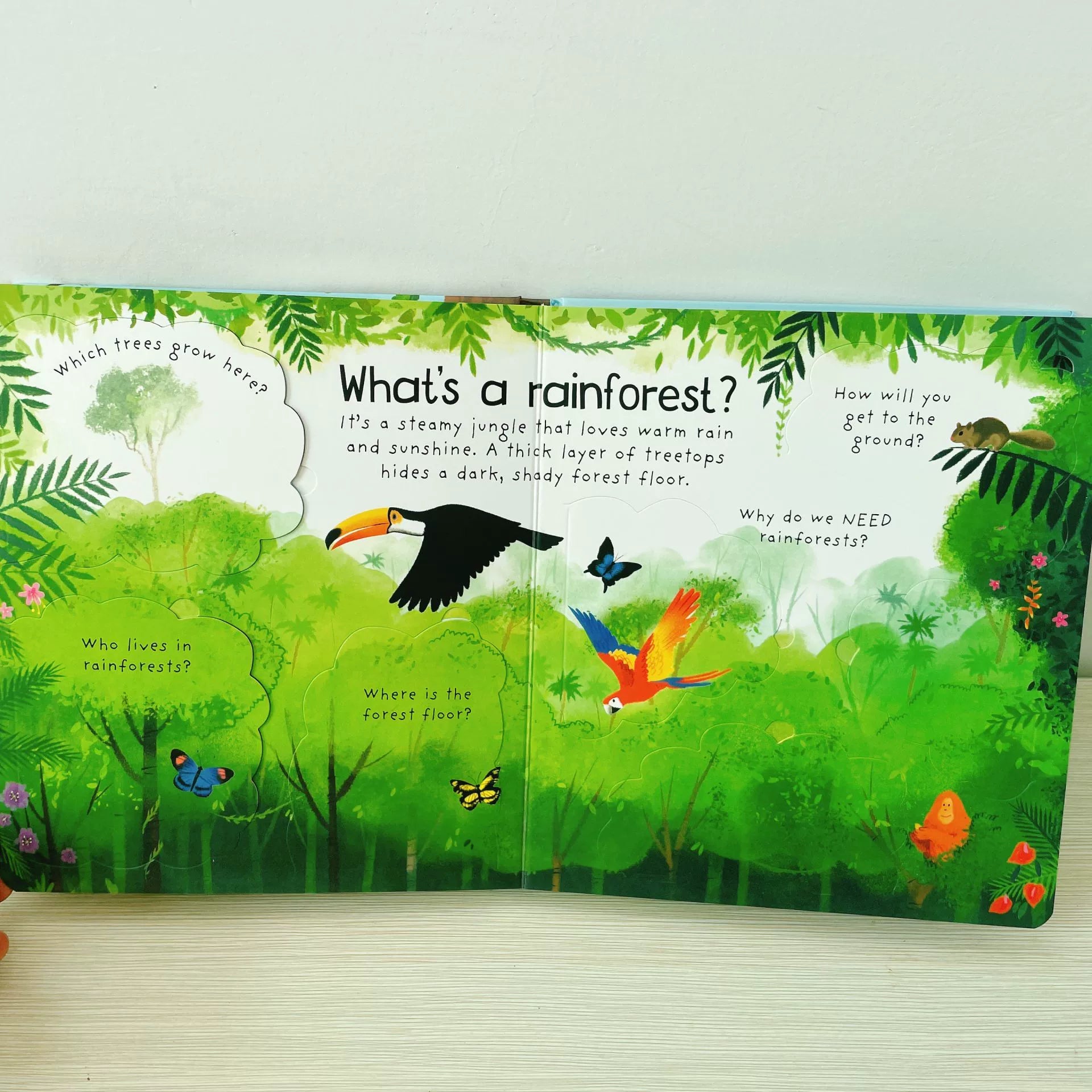 First Questions and Answers Why do we need trees? Usborne Lift the flap Children's Activity English Board Book