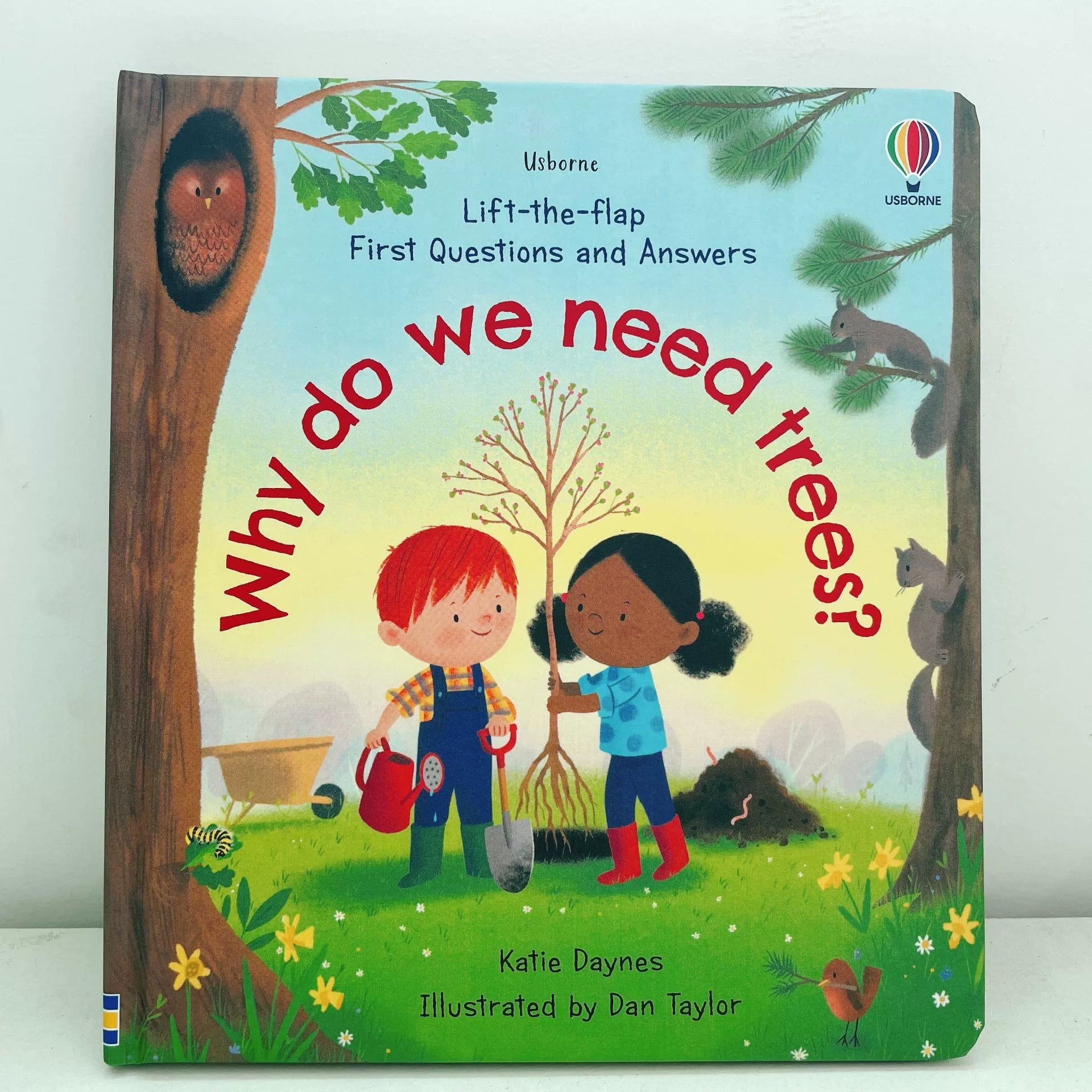First Questions and Answers Why do we need trees? Usborne Lift the flap Children's Activity English Board Book