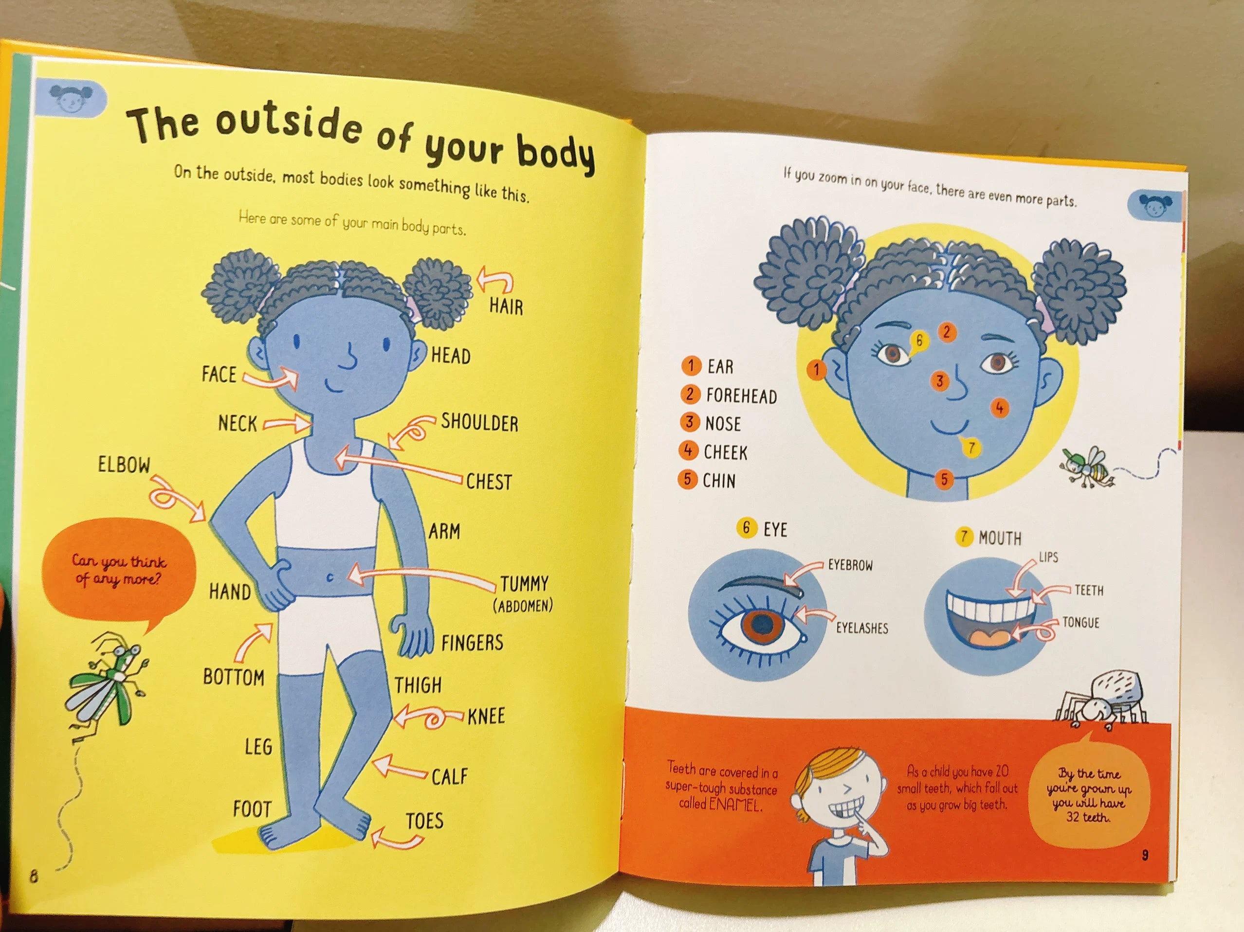 All You Need to Know about Your Body by Age 7 Children Educational English Picture Reading Book