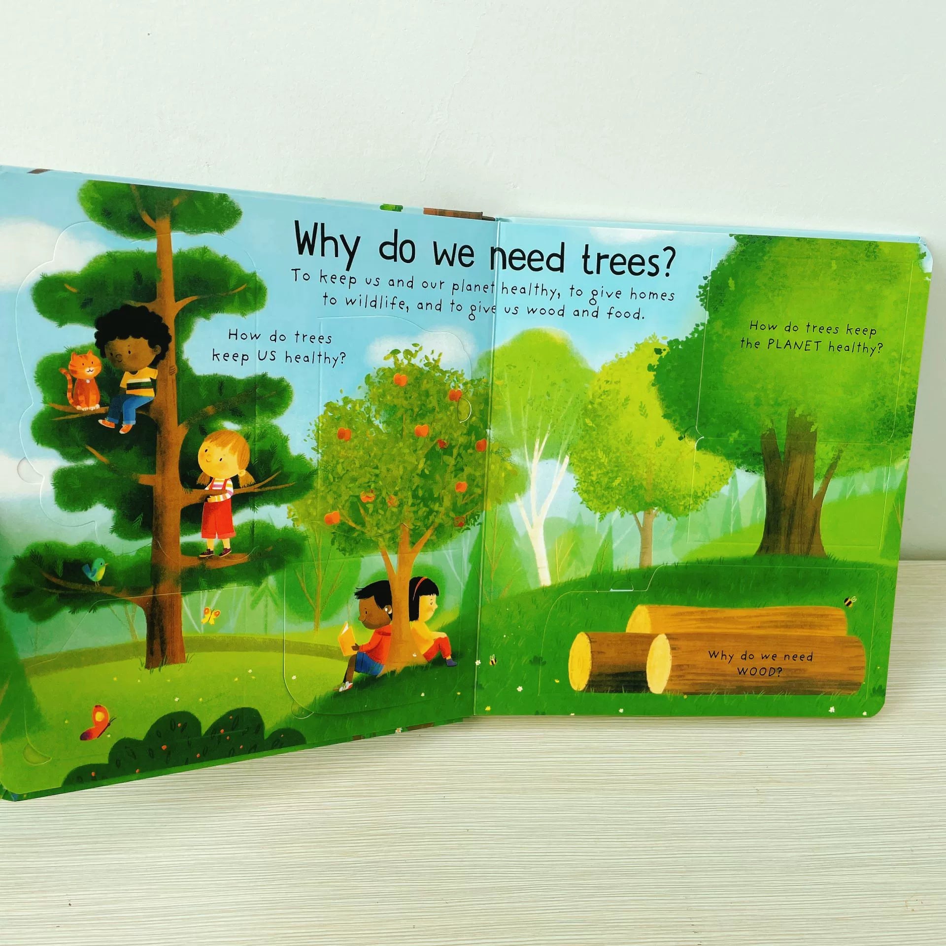 First Questions and Answers Why do we need trees? Usborne Lift the flap Children's Activity English Board Book