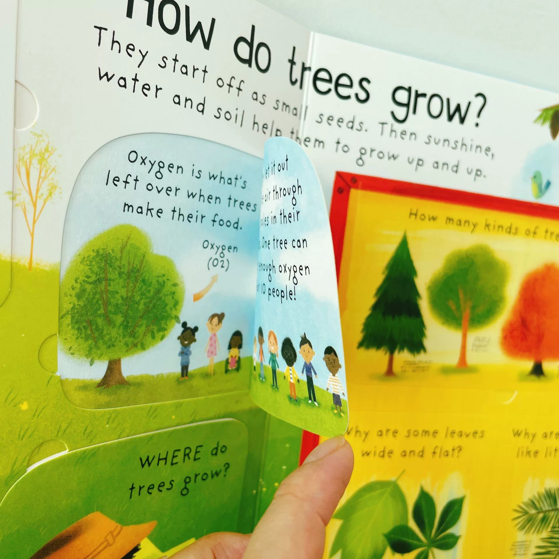 First Questions and Answers Why do we need trees? Usborne Lift the flap Children's Activity English Board Book