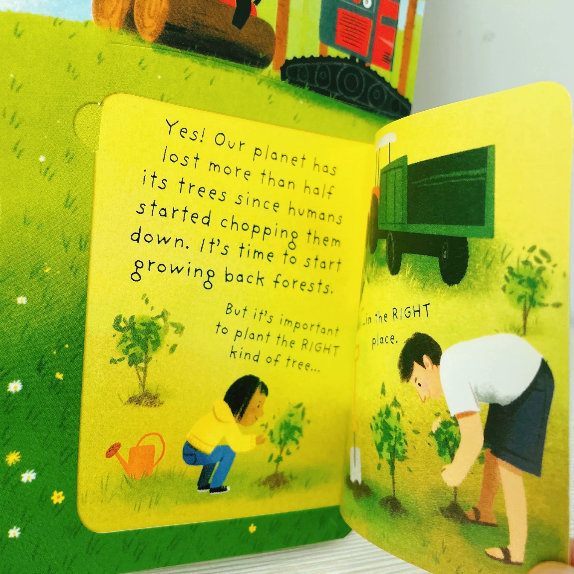 First Questions and Answers Why do we need trees? Usborne Lift the flap Children's Activity English Board Book
