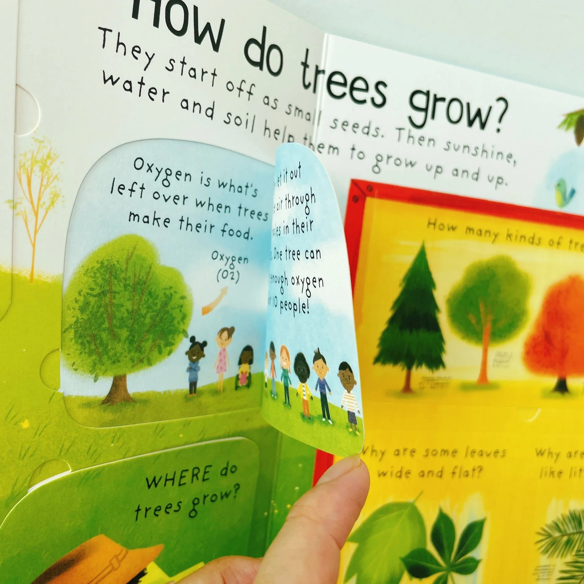 First Questions and Answers Why do we need trees? Usborne Lift the flap Children's Activity English Board Book