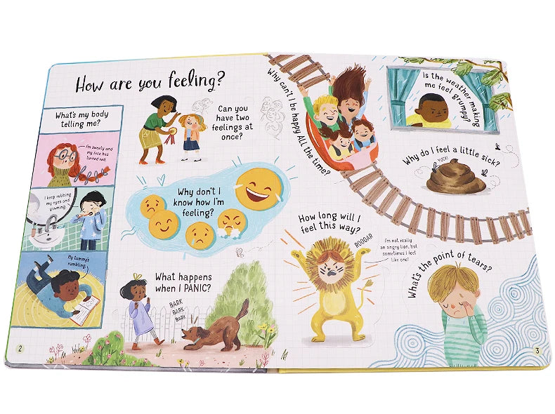 Usborne lift-the-flap Questiones and Answers about Feelings English Educational Picture Book Baby kids learning reading gift