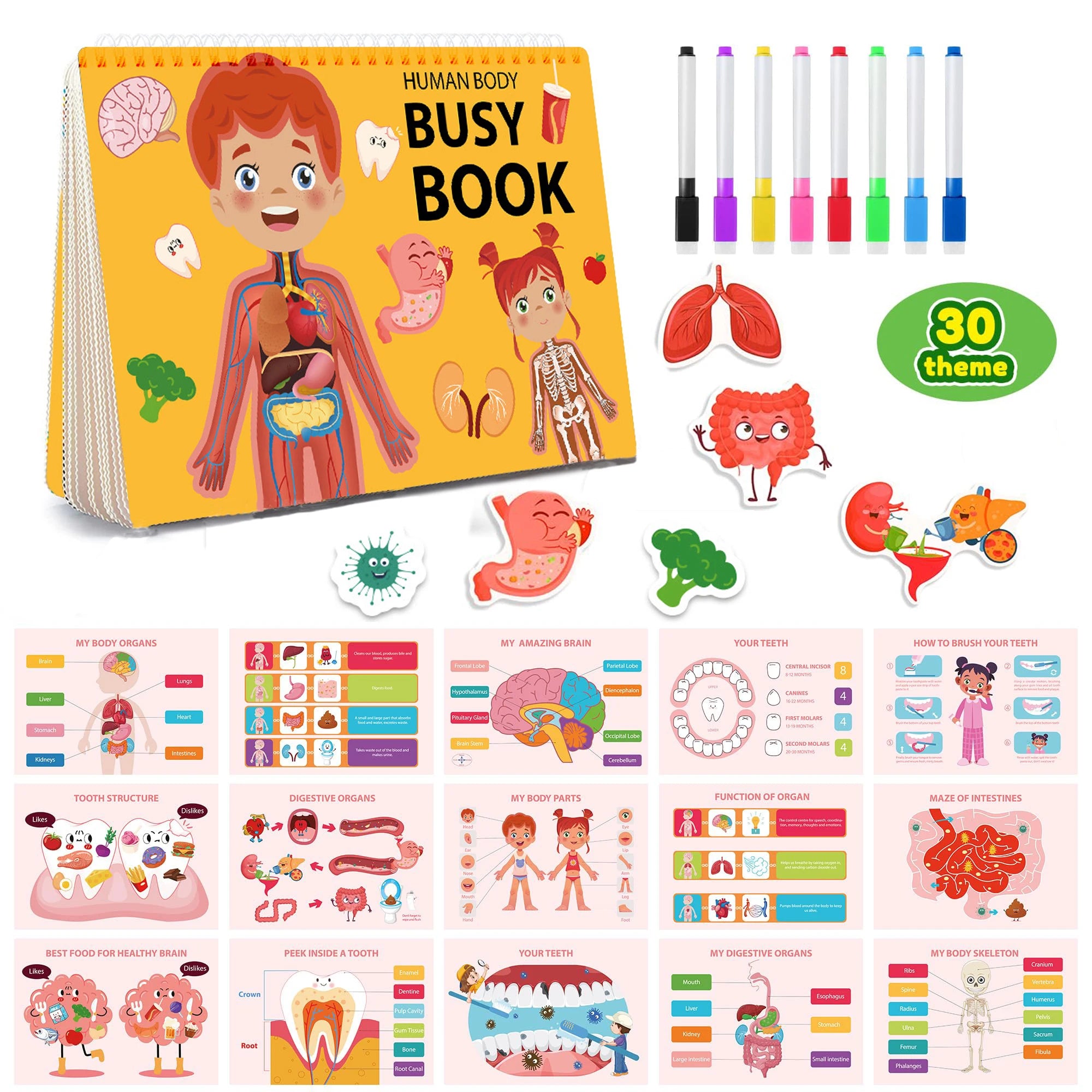 Human Anatomy Busy Book for Toddlers Montessori Preschool Learning Activities 30 Theme for Kids Sensory Education Travel Toys