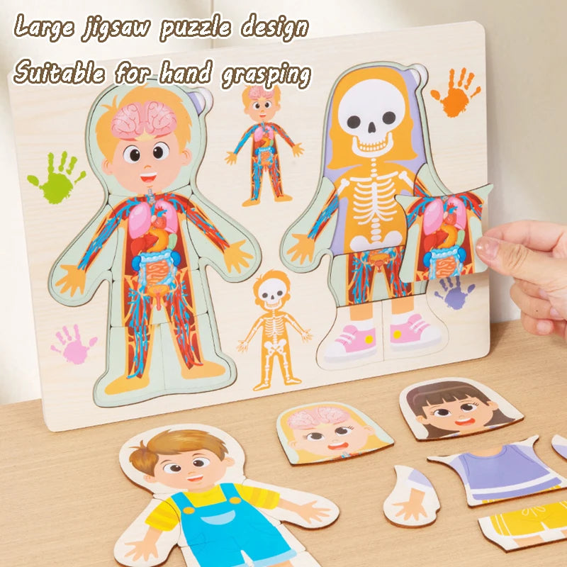 Kid Human Body Structure Puzzle Toy Montessori Wooden Body Organs Learn Tools Boys Girls Anatomy Puzzle Preschool Education Toy
