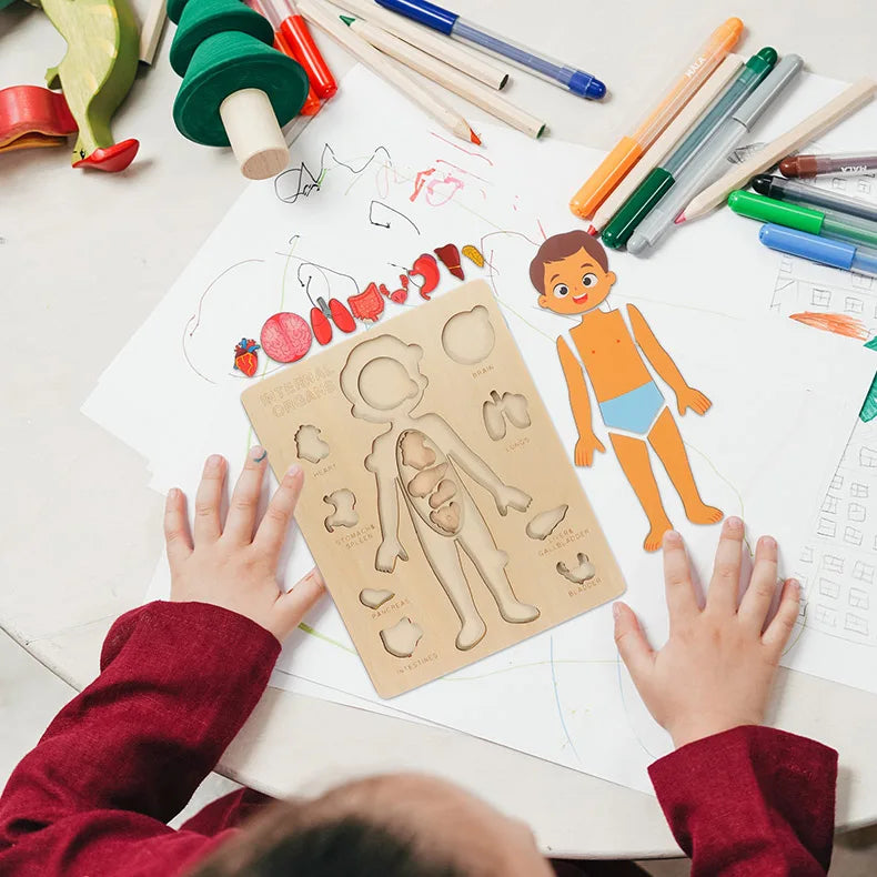 Montessori Human Body Puzzles Busy Board Body Parts Teaching Educational Anatomy Toy for Kids Children Early Learning Games