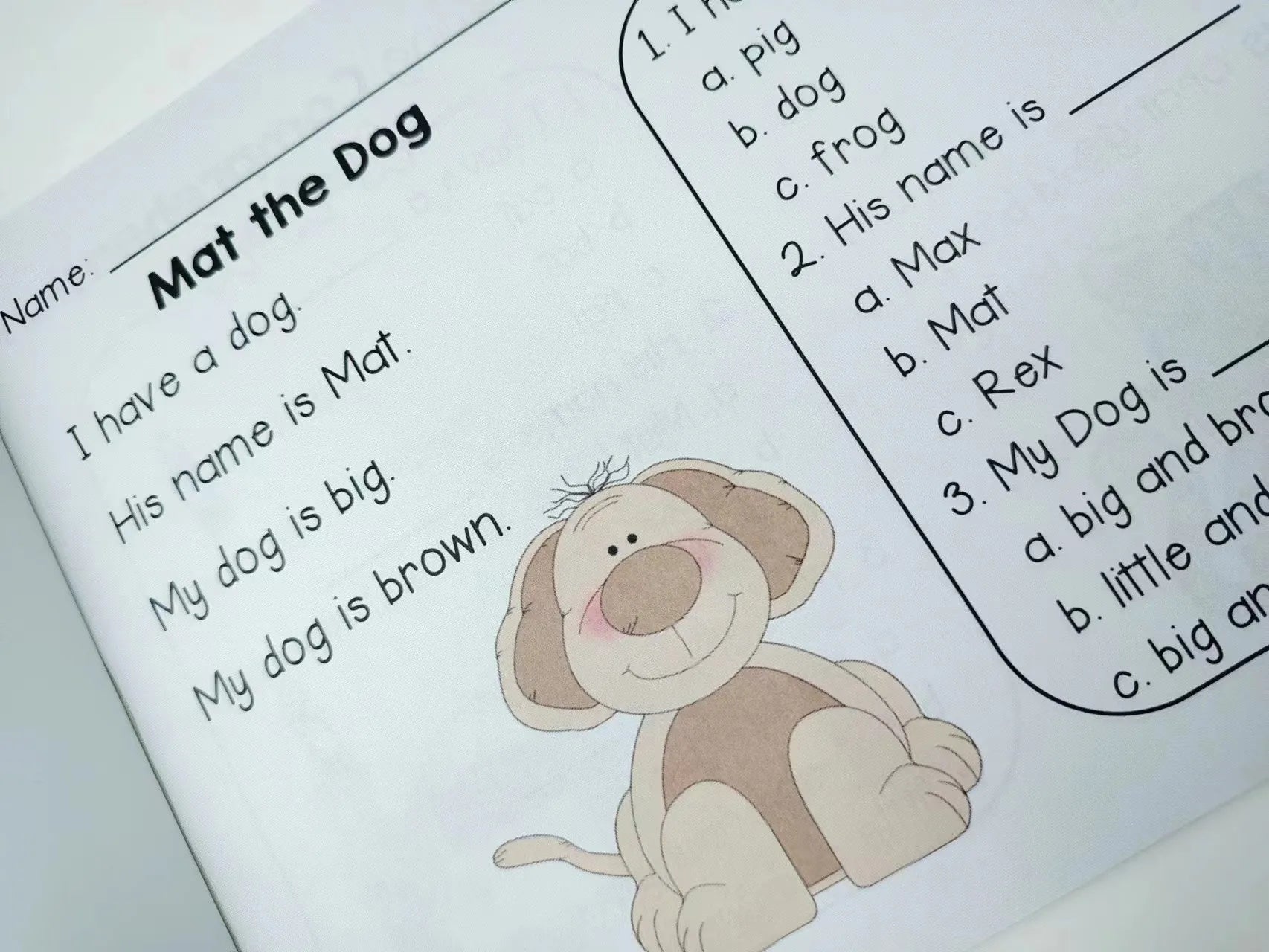 Kindergarten English Reading Comprehension Exercise Books Using Sentences Pictures and Questions To Improve Learning Skills