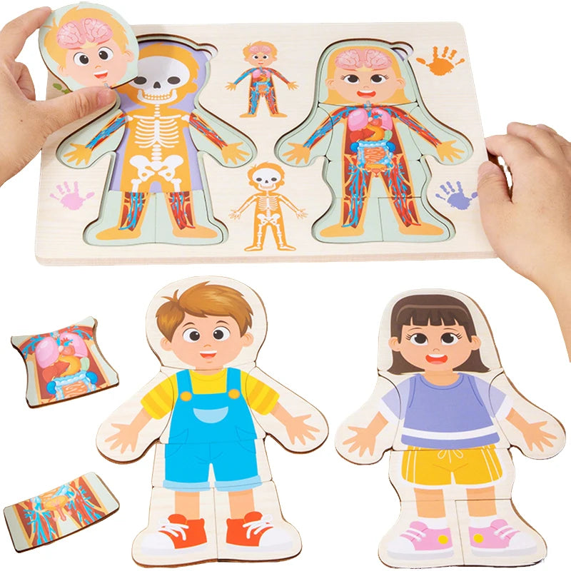 Kid Human Body Structure Puzzle Toy Montessori Wooden Body Organs Learn Tools Boys Girls Anatomy Puzzle Preschool Education Toy