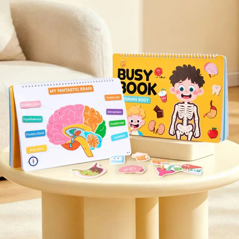 Interactive Learning Body Structure Busy Book Tear Pull Early Education Quiet Book Adhesive Book Cognitive Development