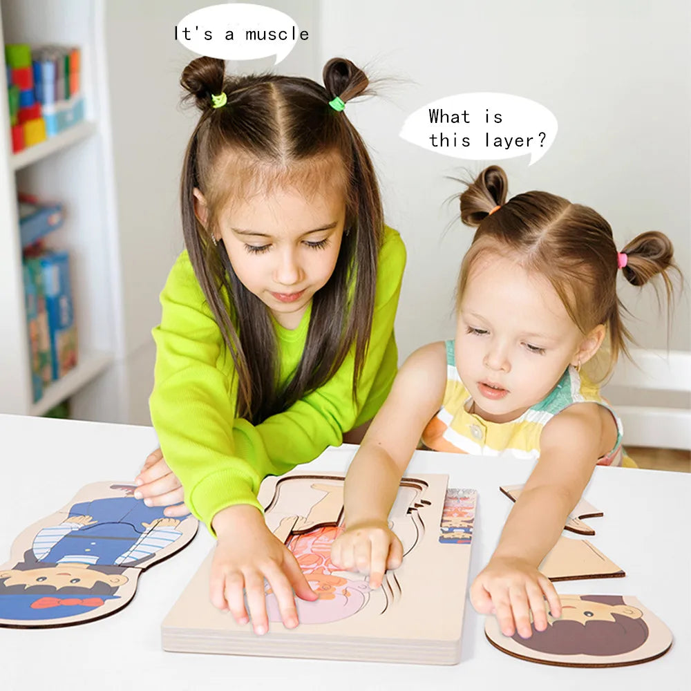 Wooden Human Body Puzzle Montessori Boys Girls Multi-Layer Body Structure Puzzle Cognitive Teaching Aids Learning Toys For Child
