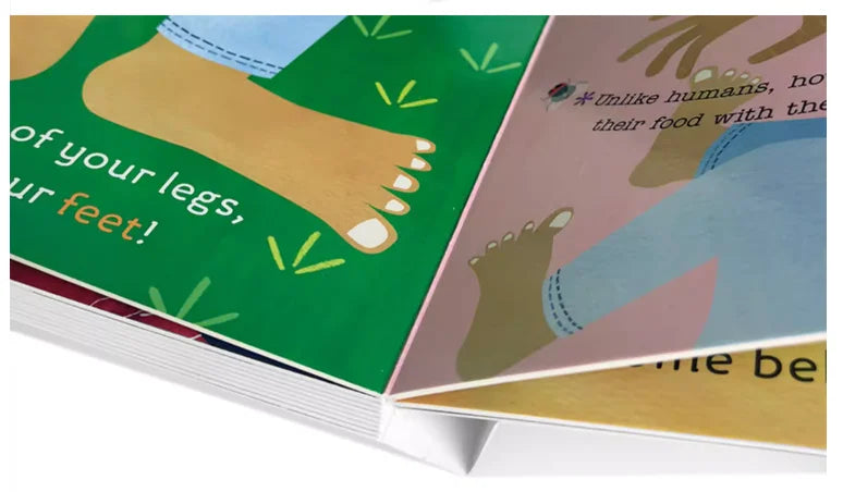 Hello World My Body Original English Board Book Colouring Activity Science Picture Book for Kids Early Education