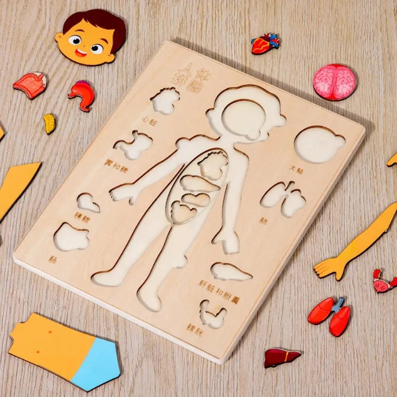 Montessori Human Body Puzzles Busy Board Body Parts Teaching Educational Anatomy Toy for Kids Children Early Learning Games