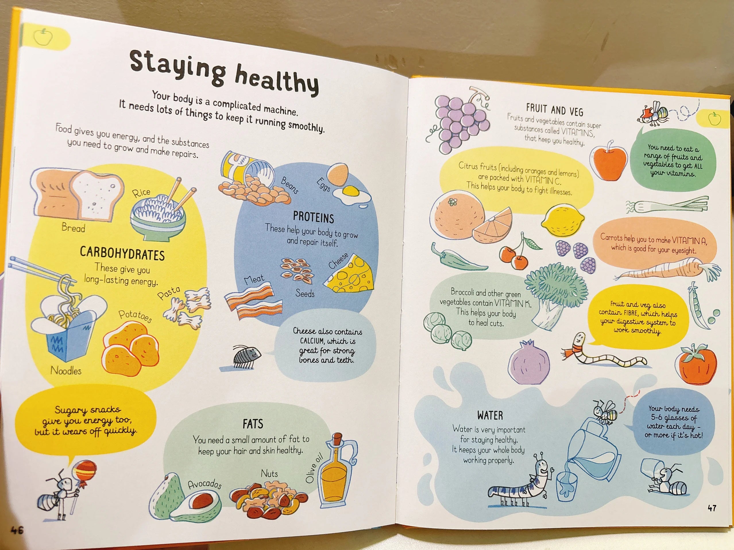 All You Need to Know about Your Body by Age 7 Children Educational English Picture Reading Book