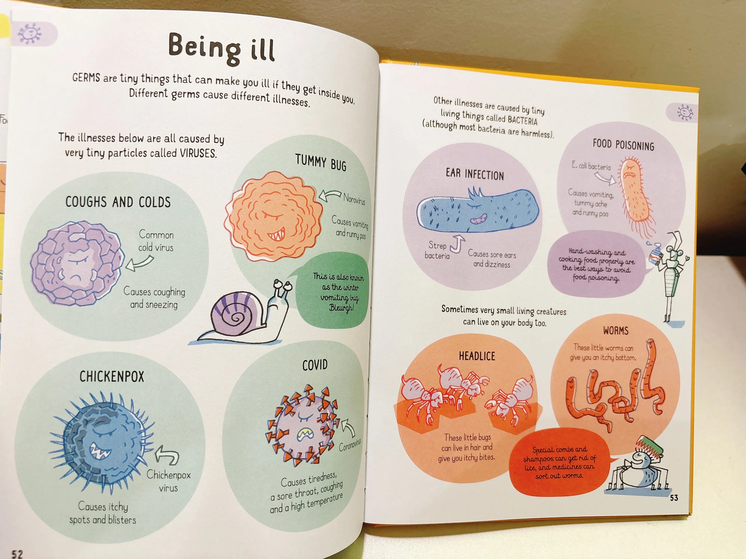 All You Need to Know about Your Body by Age 7 Children Educational English Picture Reading Book