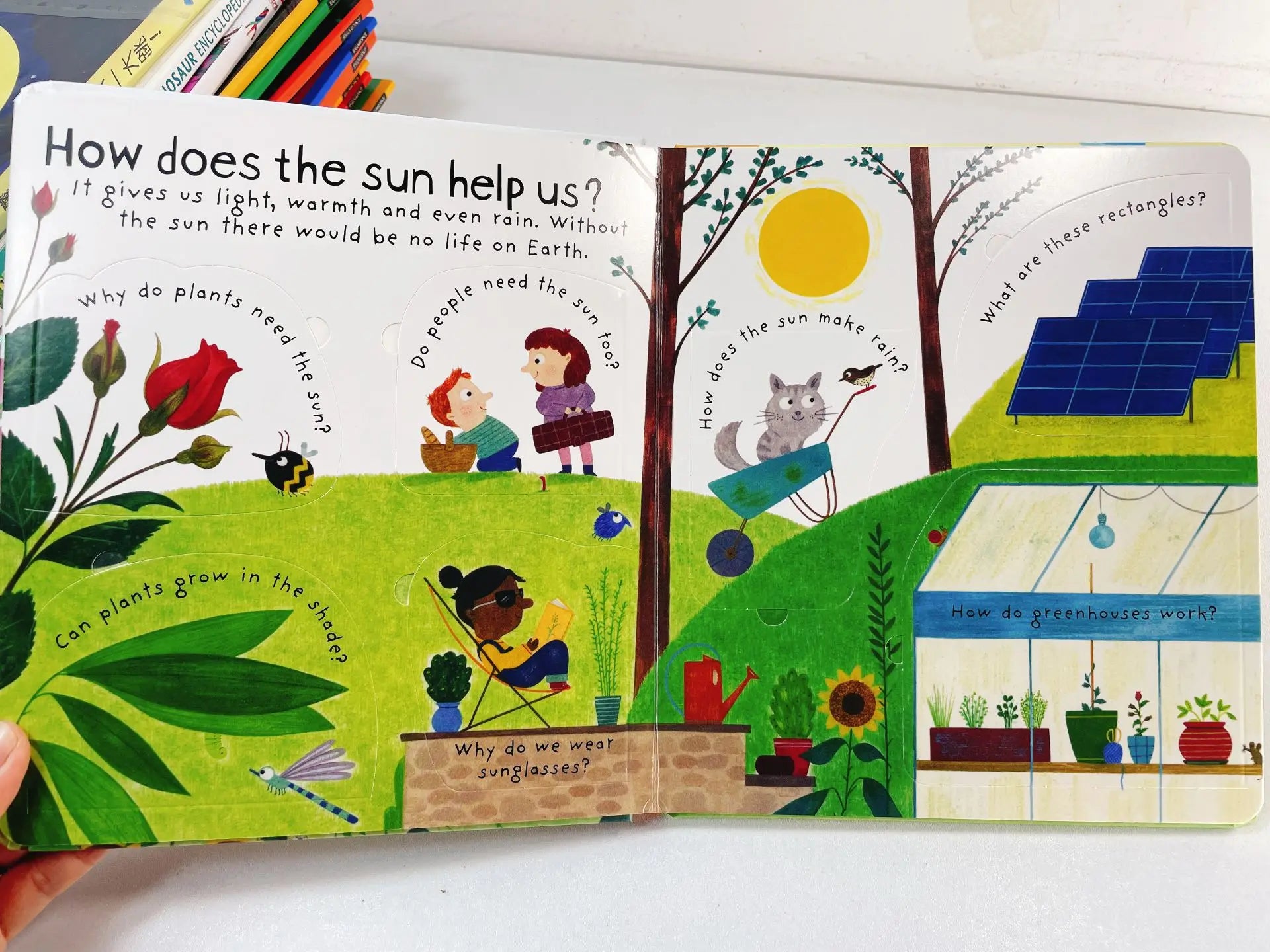 First Questions and Answers Why Does the Sun Shine? Usborne Lift the flap Children's Activity English Board Book