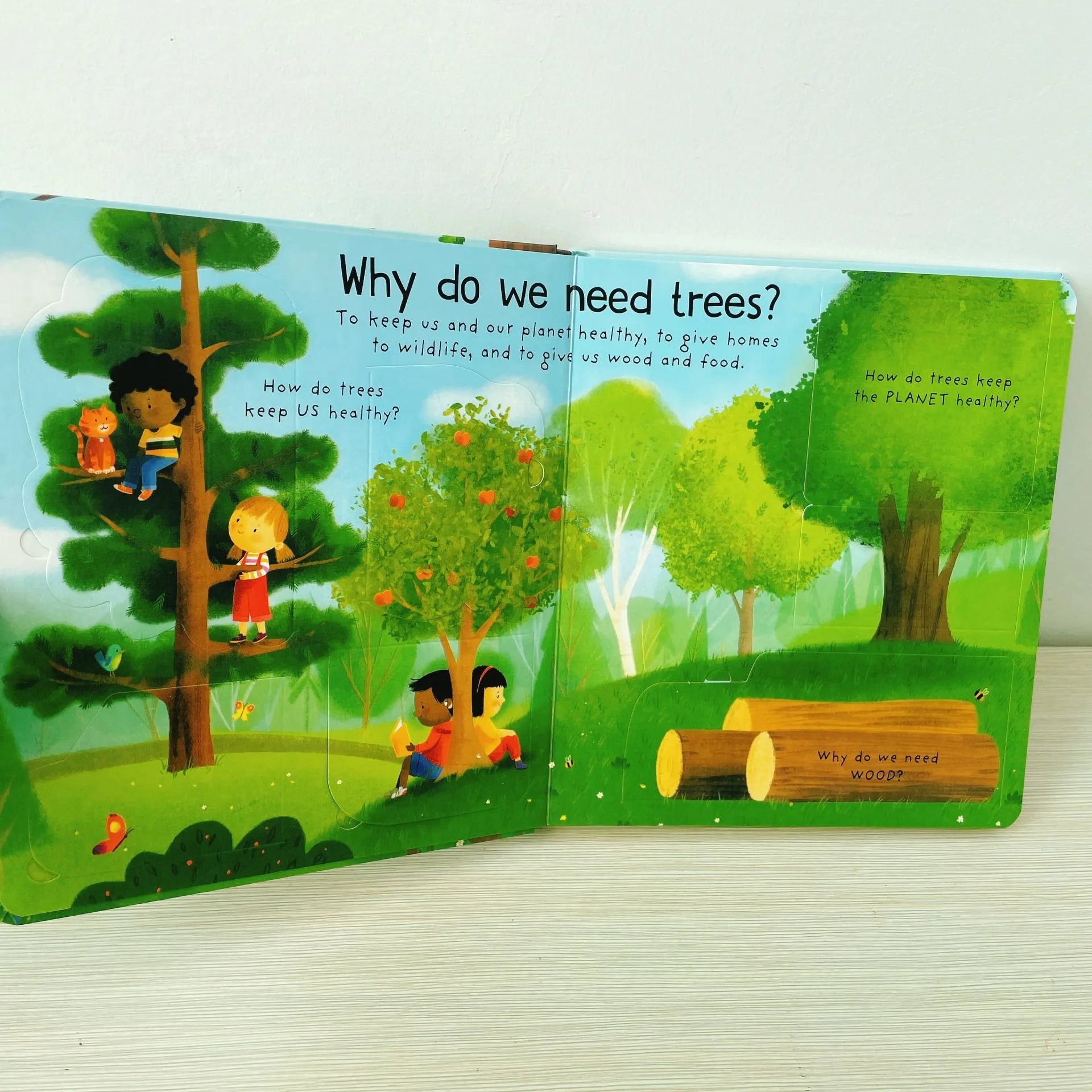 First Questions and Answers Why do we need trees? Usborne Lift the flap Children's Activity English Board Book