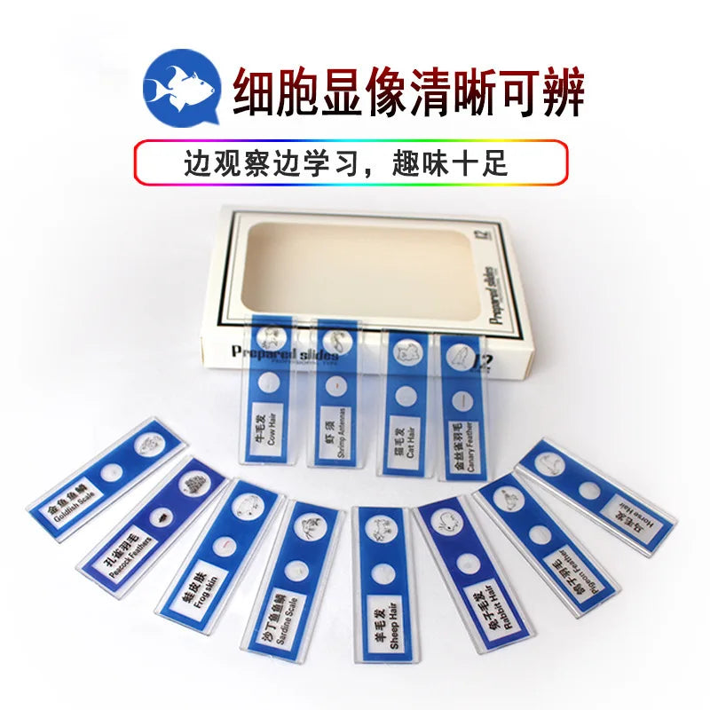 High definition 1200 times microscope toy set for primary and secondary school students science experiment puzzle science and