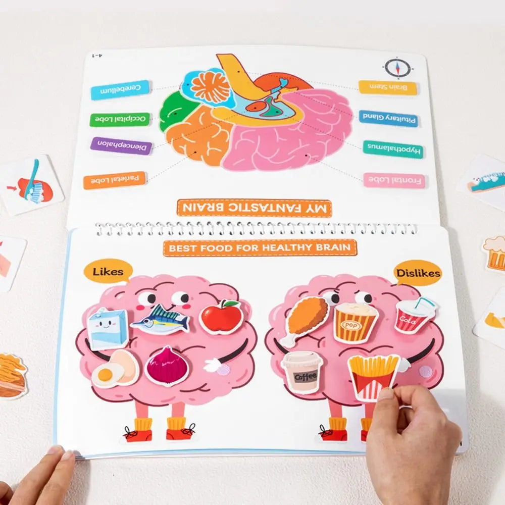 Interactive Learning Body Structure Busy Book Tear Pull Early Education Quiet Book Adhesive Book Cognitive Development