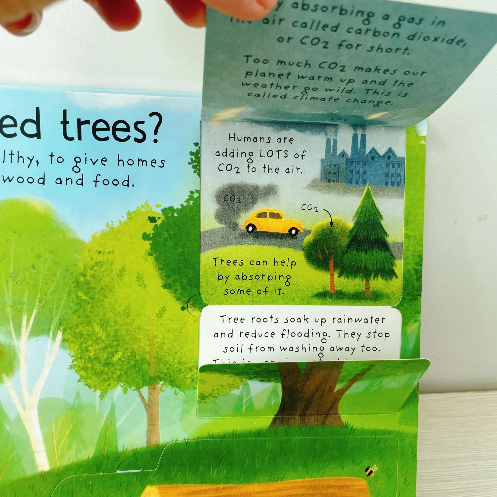First Questions and Answers Why do we need trees? Usborne Lift the flap Children's Activity English Board Book