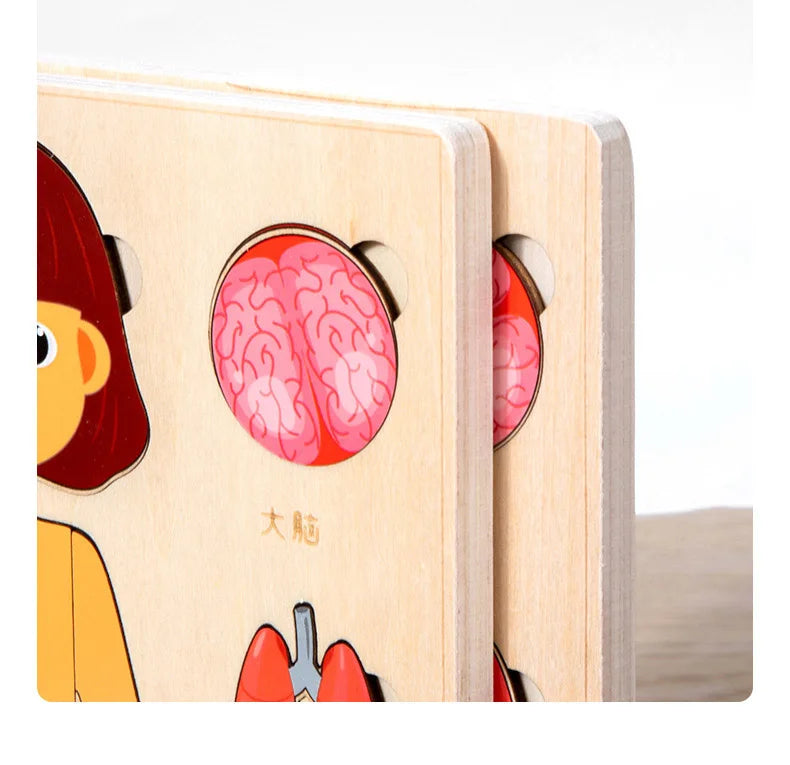 Montessori Human Body Puzzles Busy Board Body Parts Teaching Educational Anatomy Toy for Kids Children Early Learning Games