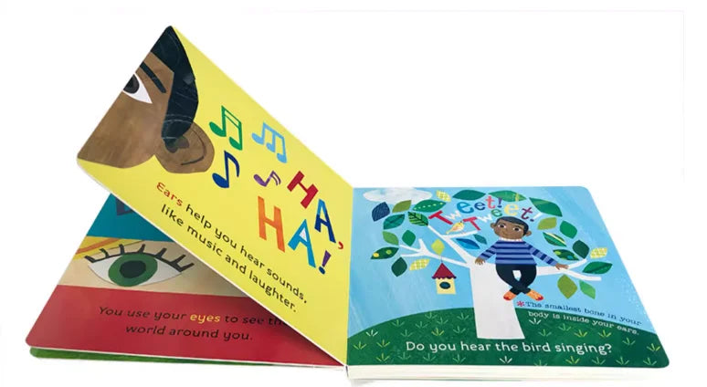 Hello World My Body Original English Board Book Colouring Activity Science Picture Book for Kids Early Education