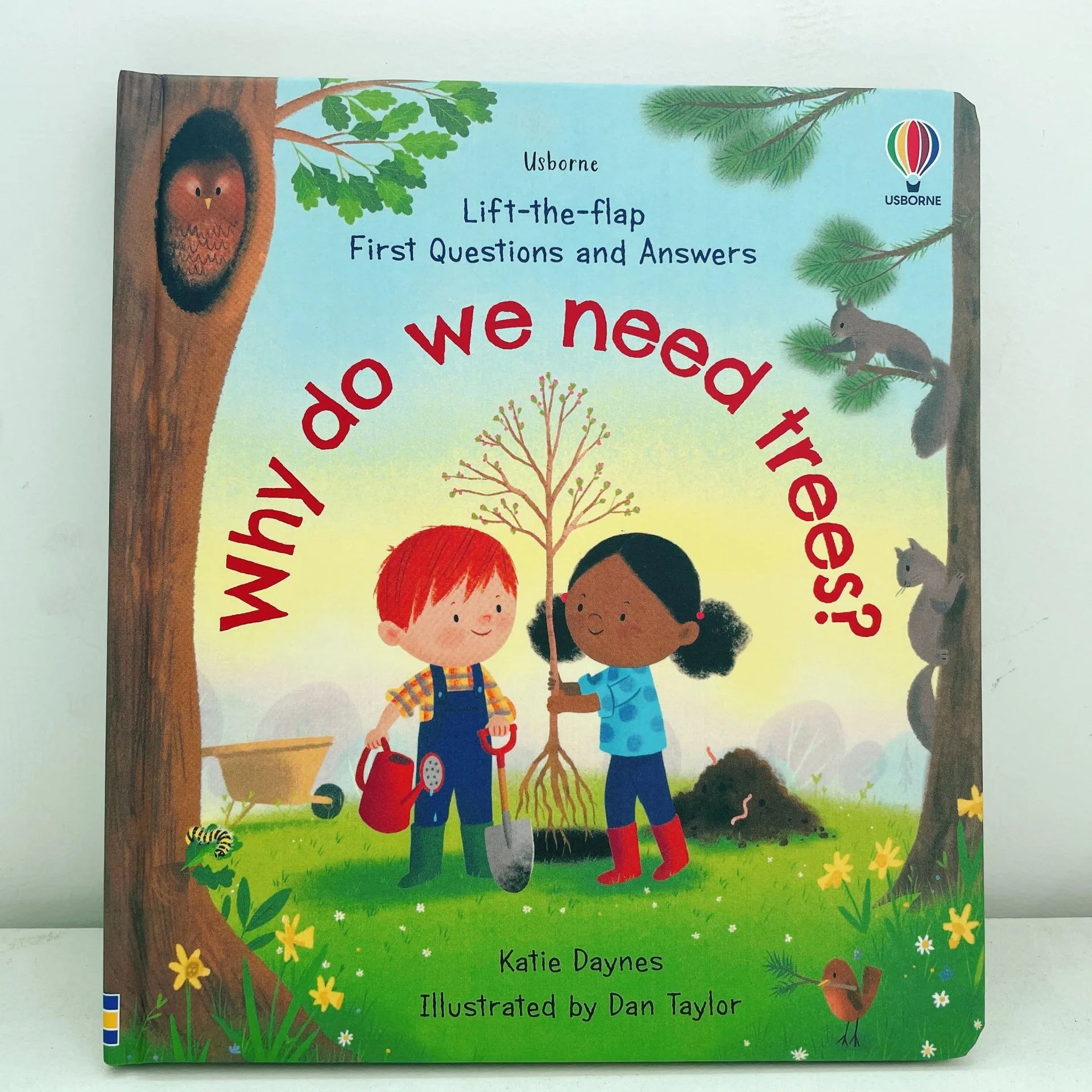 First Questions and Answers Why do we need trees? Usborne Lift the flap Children's Activity English Board Book