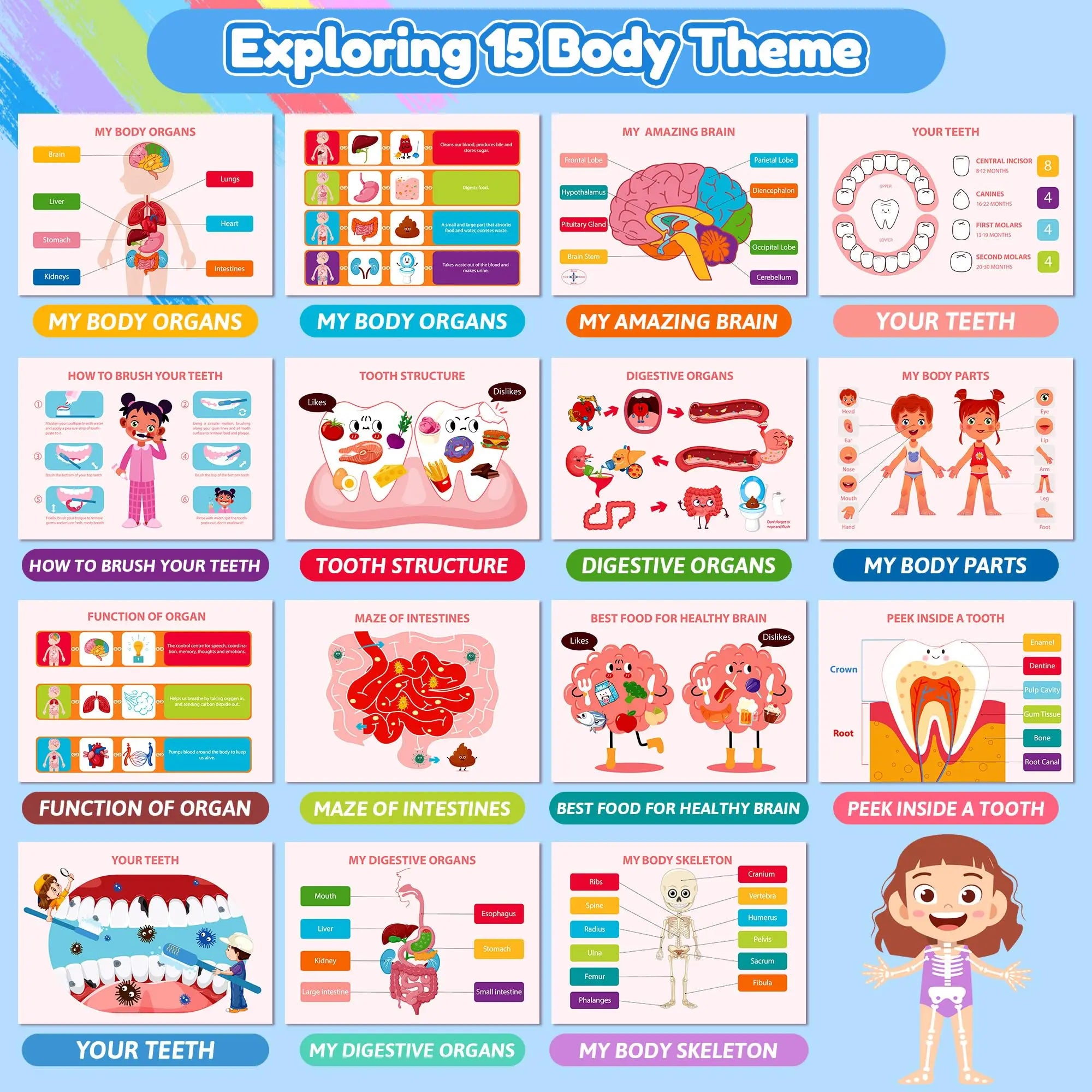 Human Anatomy Busy Book for Toddlers Montessori Preschool Learning Activities 30 Theme for Kids Sensory Education Travel Toys