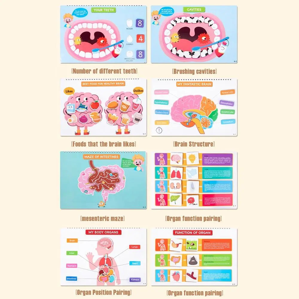Interactive Learning Body Structure Busy Book Tear Pull Early Education Quiet Book Adhesive Book Cognitive Development