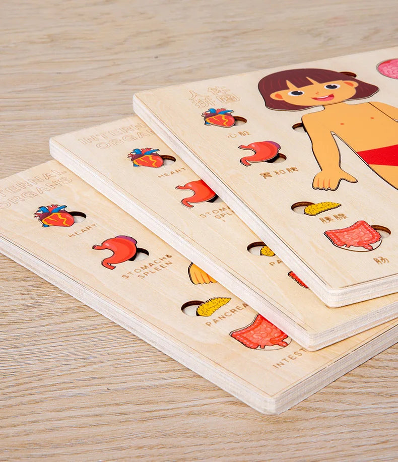 Montessori Human Body Puzzles Busy Board Body Parts Teaching Educational Anatomy Toy for Kids Children Early Learning Games