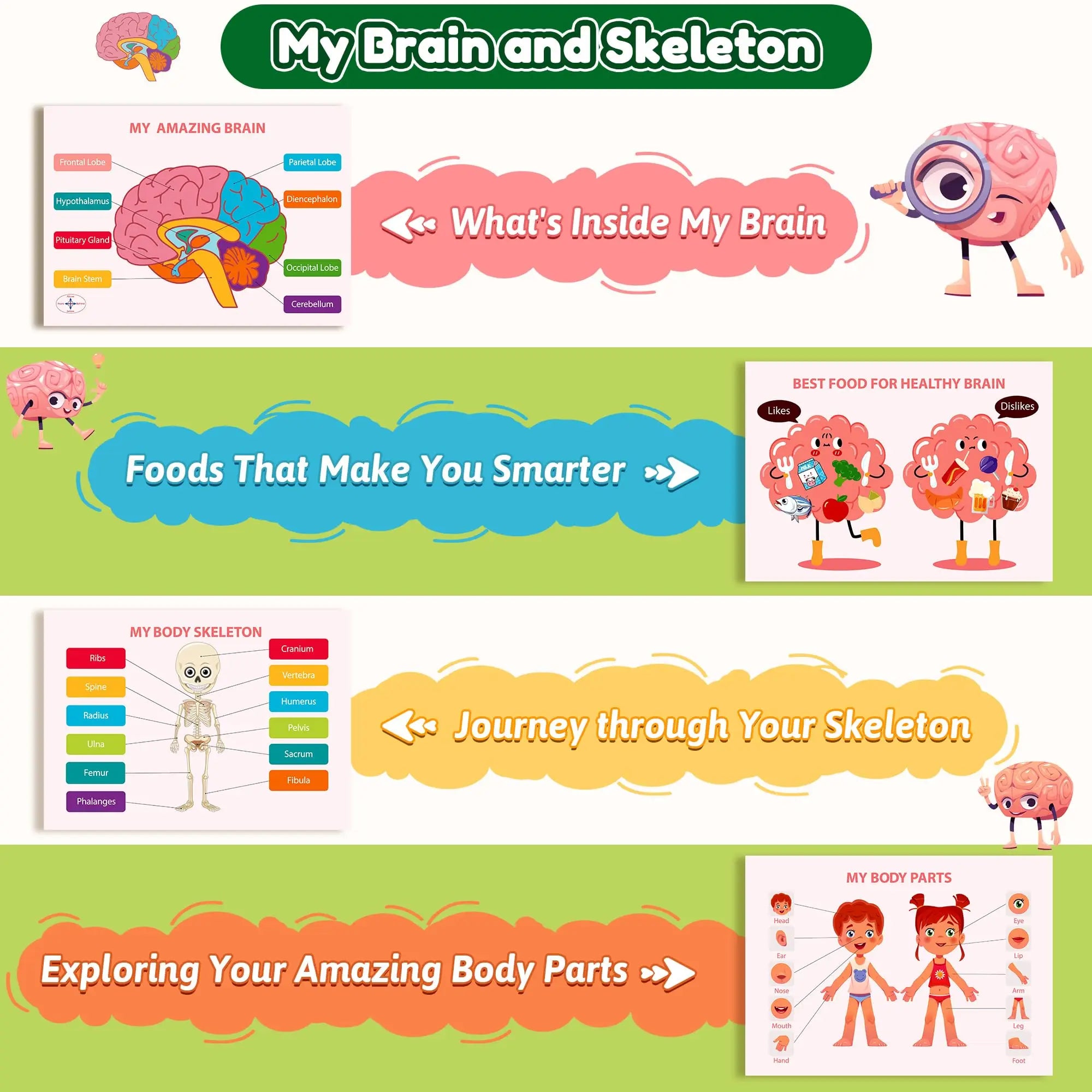Human Anatomy Busy Book for Toddlers Montessori Preschool Learning Activities 30 Theme for Kids Sensory Education Travel Toys