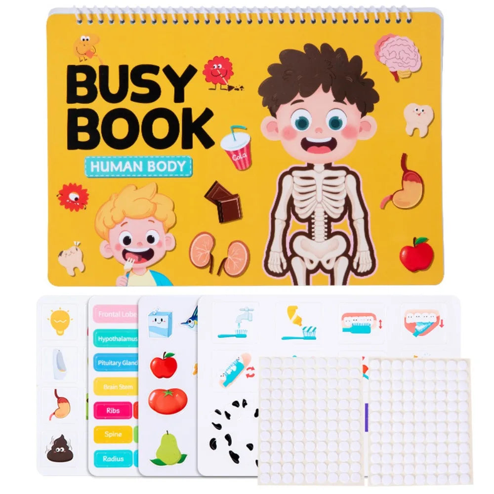 Interactive Learning Body Structure Busy Book Tear Pull Early Education Quiet Book Adhesive Book Cognitive Development