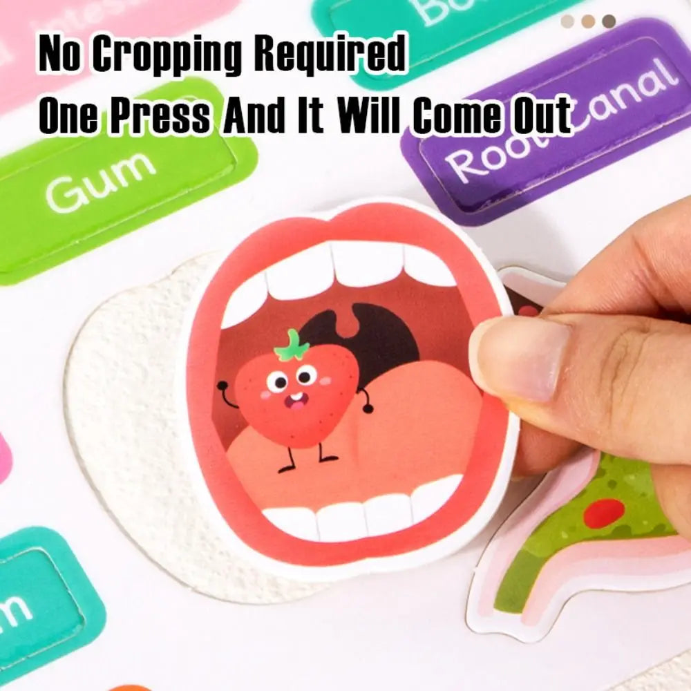 Interactive Learning Body Structure Busy Book Tear Pull Early Education Quiet Book Adhesive Book Cognitive Development