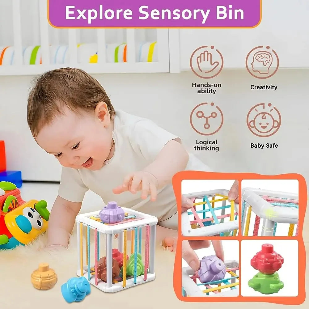 Baby Montessori Shape Sorter Cube Rainbow Colorful Blocks Sorting Game Infant Cognitive Grip Training Learning Educational Toy