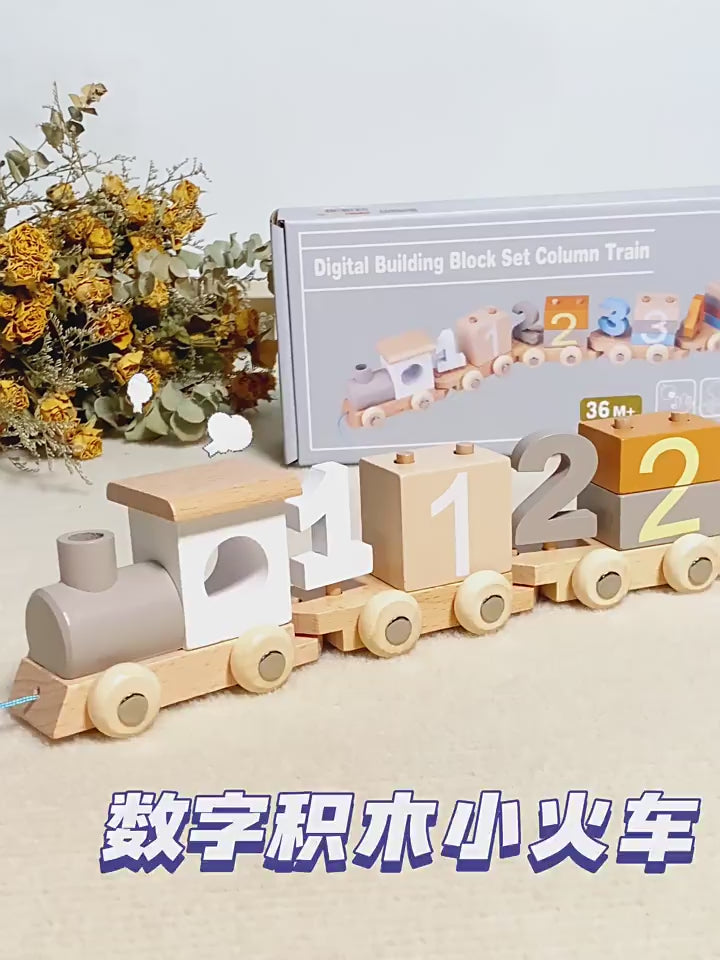 Young Children's Wooden Early Education Enlightenment Digital Color Cognition Assembled Building Blocks Dragging Train Educational Toys